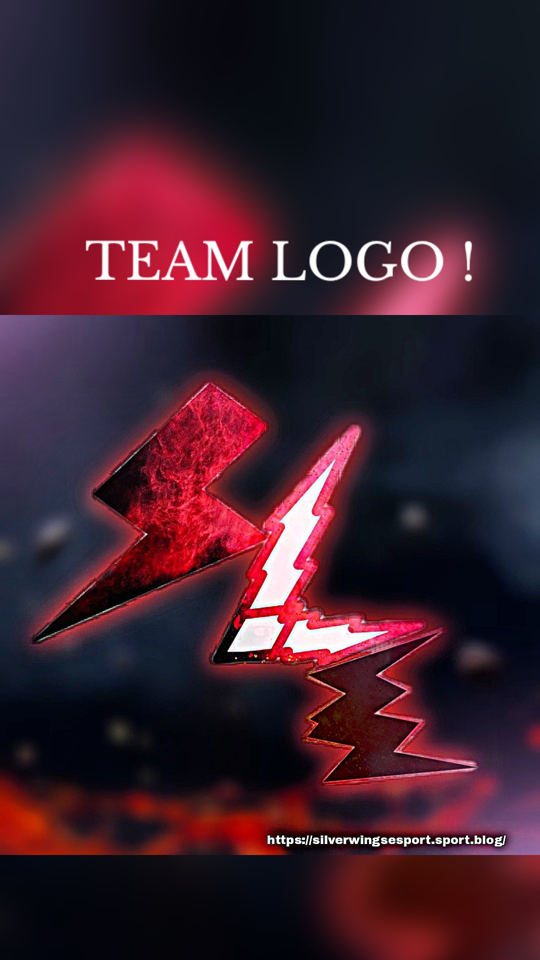 TEAM LOGO !